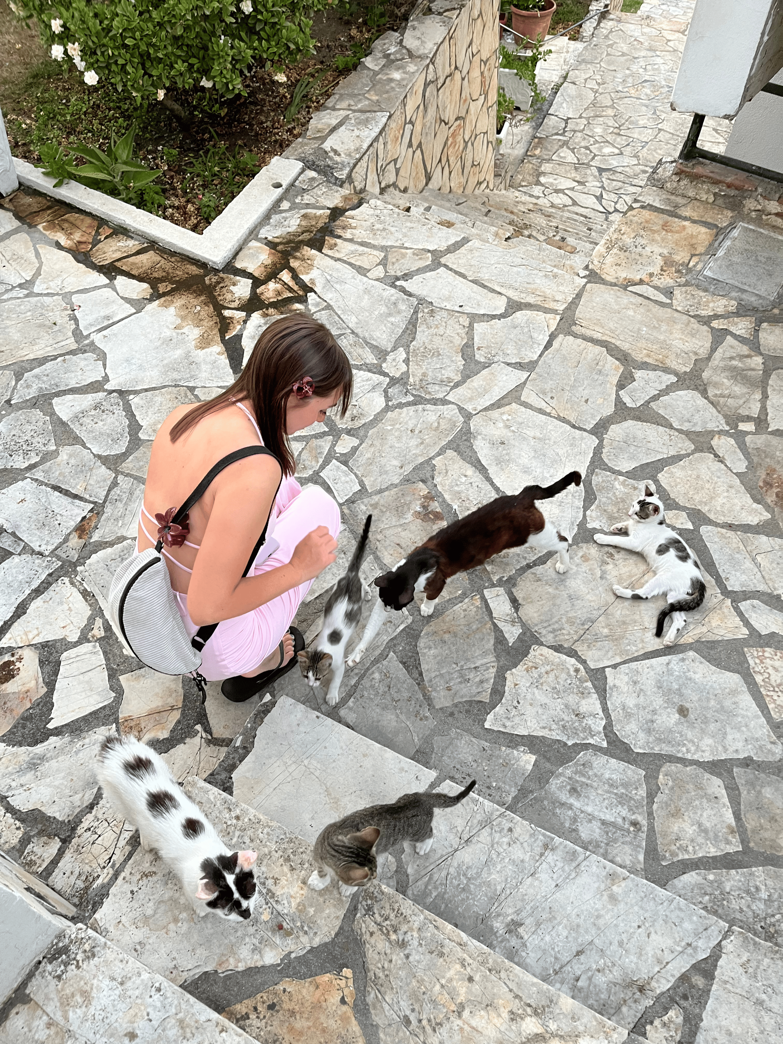 Corfú Photo 8